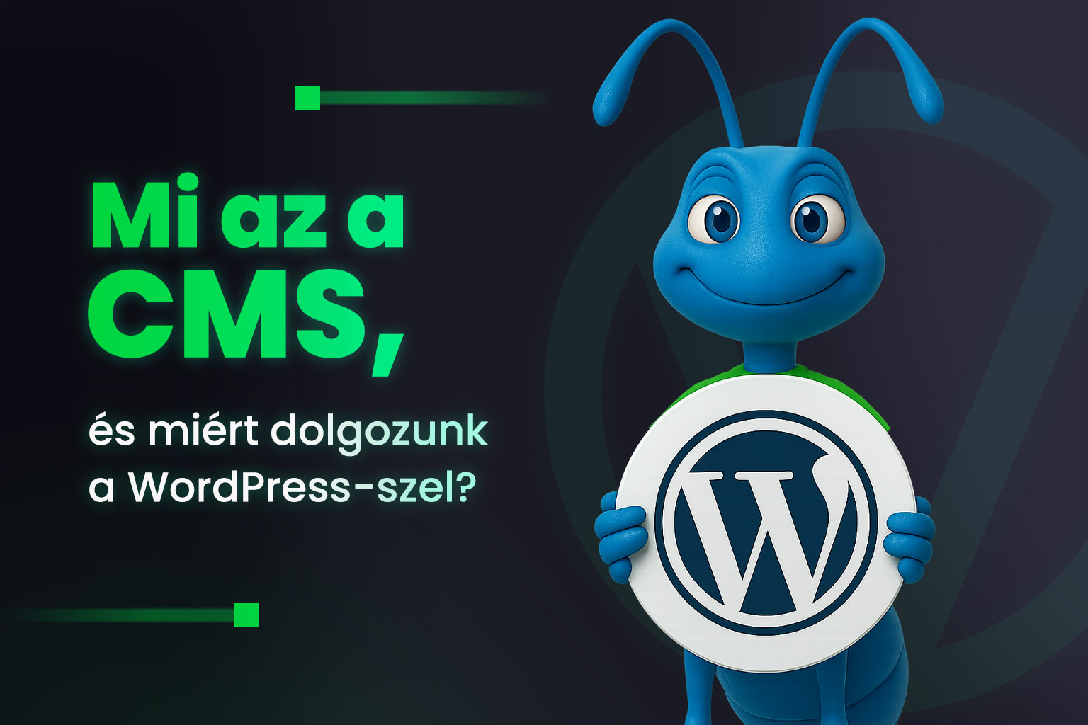 Mi az a CMS, és miért dolgozunk a WordPress-szel?