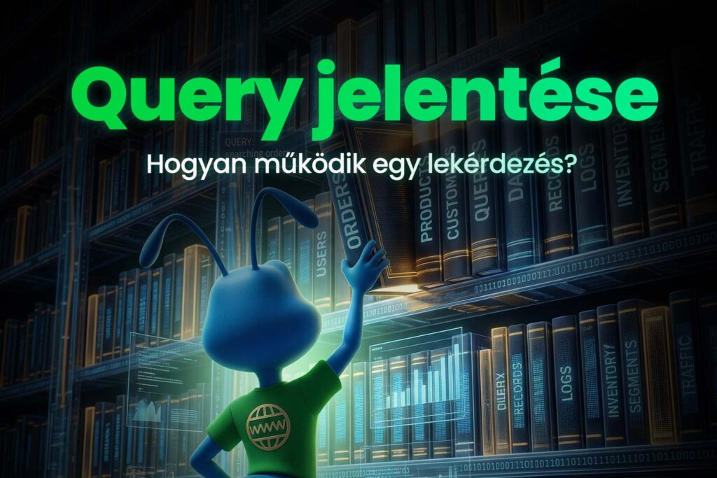 query jelentése
